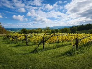 Prodej zemědělské usedlosti, Lhenice, 300 m2