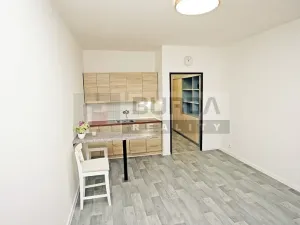 Pronájem bytu 1+kk, Neratovice, 28 m2