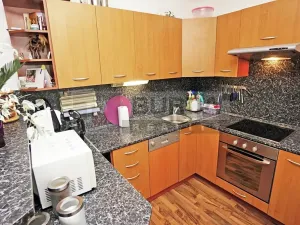 Prodej bytu 2+1, Neratovice, 53 m2