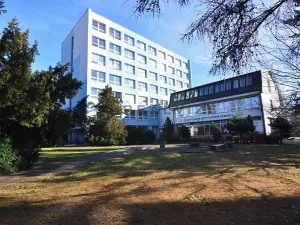 Pronájem kanceláře, České Budějovice, Rudolfovská tř., 43 m2