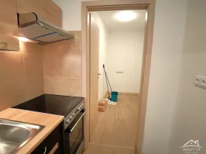 Pronájem bytu 1+kk, Jihlava, Palackého, 33 m2