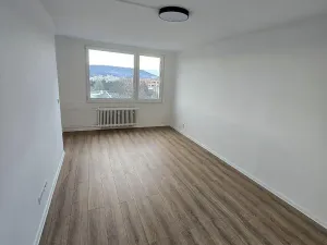 Pronájem bytu 3+1, Most, Javorová, 69 m2