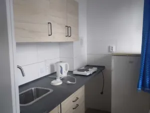 Pronájem bytu 1+kk, Pardubice - Polabiny, Grusova, 29 m2