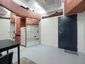 Prodej bytu 1+1, Praha - Žižkov, Baranova, 49 m2