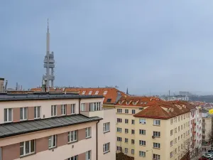 Prodej bytu 1+1, Praha - Žižkov, Baranova, 49 m2