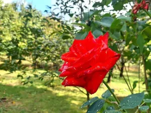 Prodej rodinného domu, Rybníky, 95 m2