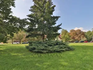 Pronájem bytu 1+1, Chomutov, akademika Heyrovského, 35 m2