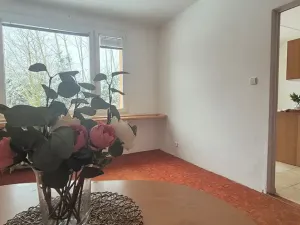 Prodej bytu 1+1, Turnov, Přepeřská, 35 m2