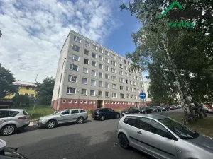 Pronájem bytu 1+kk, Planá, Bohušova, 31 m2