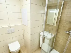 Pronájem bytu 1+kk, Ostrava, Gen. Janouška, 31 m2