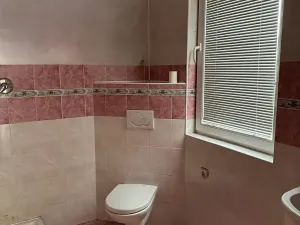 Pronájem bytu 4+kk, Lanškroun, Svojsíkova, 132 m2