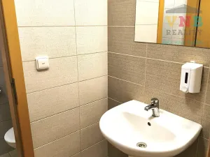 Pronájem komerční nemovitosti, Uničov, Litovelská, 110 m2