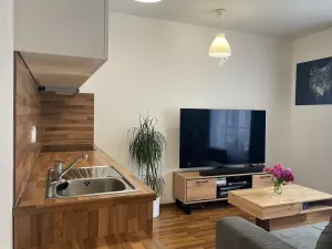 Pronájem bytu 1+kk, České Budějovice, Otakarova, 26 m2