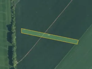 Prodej pole, Prusinovice, 2313 m2