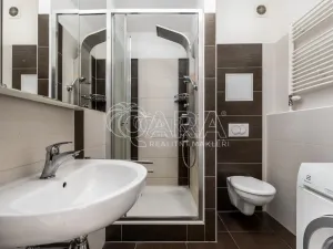 Pronájem bytu 1+kk, Praha, 65 m2