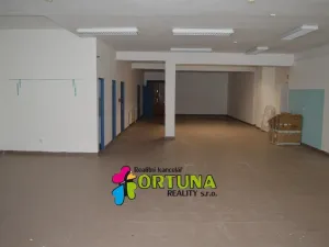 Prodej obchodního prostoru, České Budějovice - České Budějovice 1, Krajinská, 1563 m2