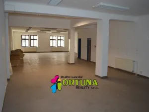 Prodej obchodního prostoru, České Budějovice - České Budějovice 1, Krajinská, 1563 m2