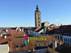 Prodej obchodního prostoru, České Budějovice - České Budějovice 1, Krajinská, 1563 m2