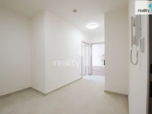 Pronájem bytu 2+kk, Liberec - Liberec II-Nové Město, Papírová, 74 m2