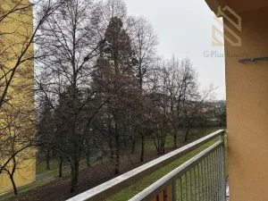 Pronájem bytu 3+1, Bílina - Újezdské Předměstí, Síbova, 70 m2