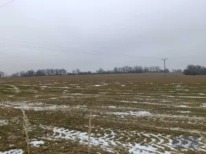 Prodej zemědělského objektu, Pavlov, 20000 m2