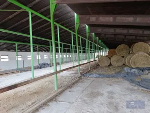 Prodej zemědělského objektu, Pavlov, 20000 m2