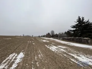 Prodej zemědělského objektu, Pavlov, 20000 m2