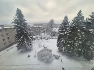 Pronájem bytu 1+kk, Liberec - Liberec XIV-Ruprechtice, Ostravská, 30 m2