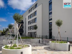 Prodej bytu 2+kk, Plzeň, Železná, 68 m2