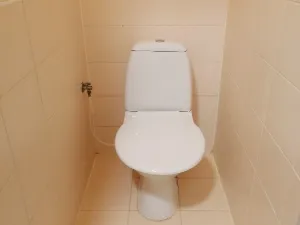 Prodej bytu 3+1, Náchod - Staré Město nad Metují, Pražská, 71 m2