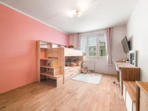 Prodej bytu 2+1, Plzeň, Dlouhá, 62 m2