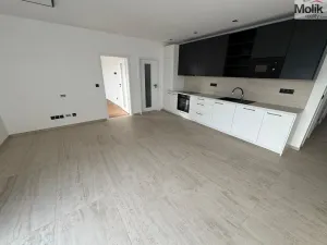 Pronájem rodinného domu, Most, Mátová, 97 m2