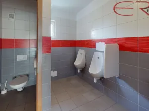 Pronájem kanceláře, Mladá Boleslav - Mladá Boleslav IV, 1800 m2