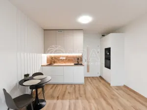 Pronájem bytu 1+kk, Praha, Poděbradská, 31 m2