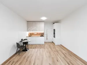 Pronájem bytu 1+kk, Praha, Poděbradská, 31 m2