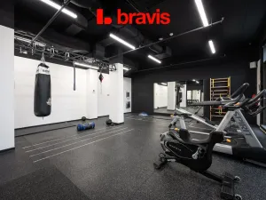 Pronájem bytu 1+kk, Brno, Dornych, 24 m2