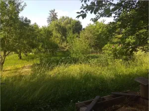 Prodej zahrady, Mohelnice, 391 m2