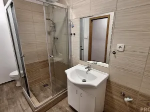 Pronájem bytu 2+1, Ústí nad Labem, Školní, 52 m2