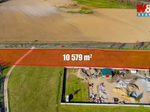 Prodej komerčního pozemku, Stará Huť, 10579 m2