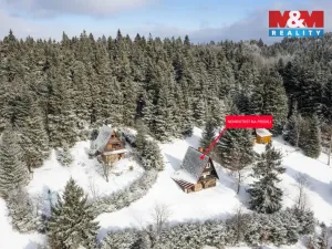 Prodej chaty, Čenkovice, 80 m2