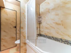 Prodej bytu 2+1, České Budějovice - České Budějovice 3, Plzeňská, 49 m2