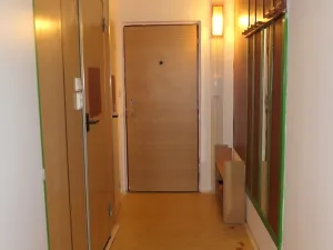 Pronájem bytu 1+kk, Hradec Králové - Nový Hradec Králové, Brožíkova, 35 m2