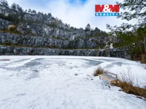 Prodej lesa, Rabí, 28273 m2