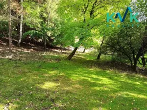 Prodej pozemku, Loket, 5448 m2