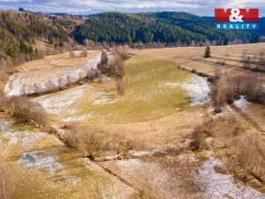 Prodej zahrady, Chodová Planá - Michalovy Hory, 1740 m2