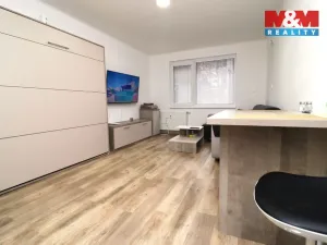 Pronájem bytu 1+kk, Ostrov - Horní Žďár, 28 m2