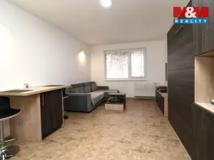 Pronájem bytu 1+kk, Ostrov - Horní Žďár, 28 m2