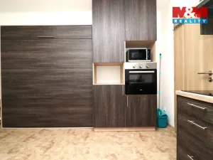 Pronájem bytu 1+kk, Ostrov - Horní Žďár, 28 m2
