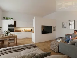 Prodej bytu 1+kk, České Budějovice, Rudolfovská tř., 42 m2