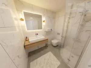 Prodej bytu 1+kk, České Budějovice - České Budějovice 3, Rudolfovská tř., 48 m2